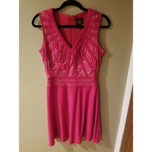 Adrianna Papell Pink Dress with Lace Overlay